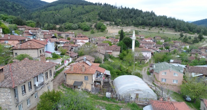 SİT Alanı Köy